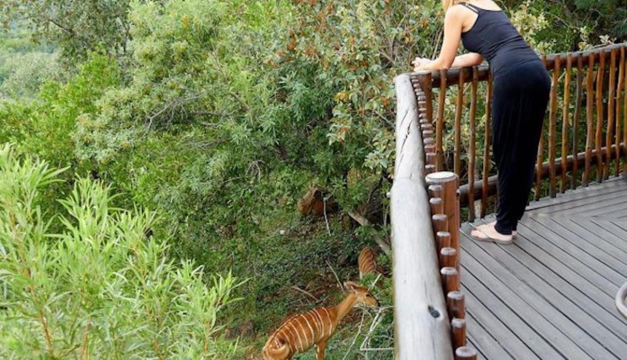 Phumelo Lodge Bela-Bela Εξωτερικό φωτογραφία